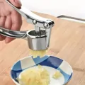 Lis na cesnak