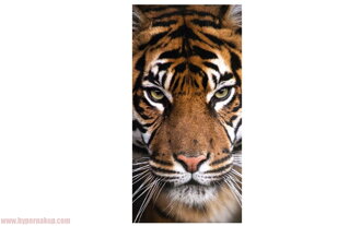 Bavlnená froté osuška tiger 70x140 cm