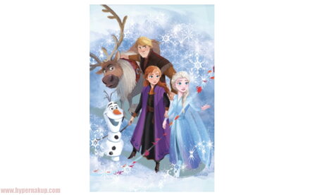 Detská fleece deka Disney Frozen Magic 100x150 cm