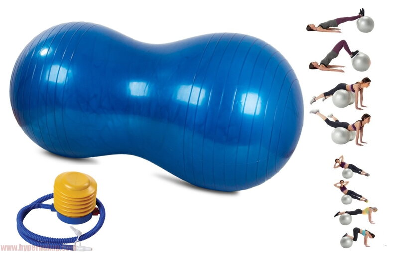 Fitness lopta Gym Ball DUO Blue  + pumpa