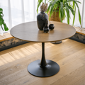 Jedálenský stôl, dub/čierna, priemer 110 cm, REVENTON NEW
