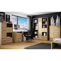 Komoda, dub shetland, SHELDON TYP 32