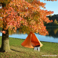 Závesné hojdacie kreslo, zelená, KLORIN NEW KIDS CACOON HAMMOCK